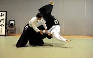 54915fce9120a_aikido3.jpg